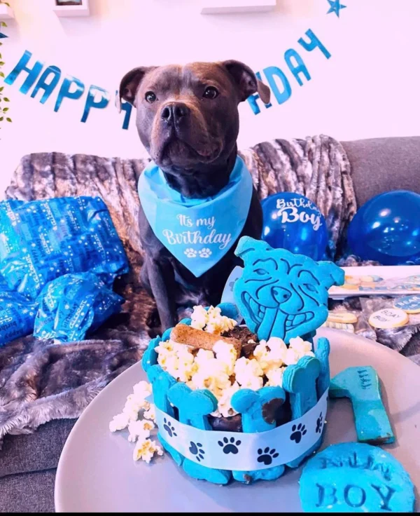 Blue Dog birthday cake personalised any name - Image 2