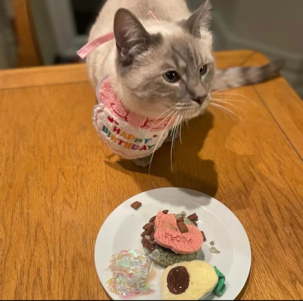 Cat birthday cake cat birthday gift - Image 2