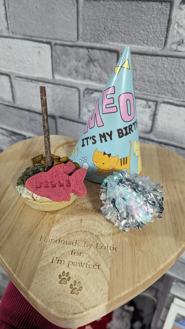 Cat birthday cake cat birthday gift