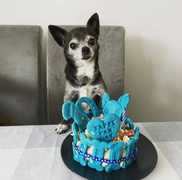 Blue Dog birthday cake personalised any name - Image 3