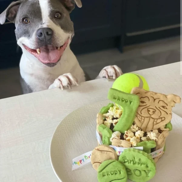 Dog birthday cake / tennis ball cake Ball is Life - Image 4