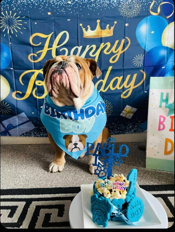 Blue Dog birthday cake personalised any name - Image 4