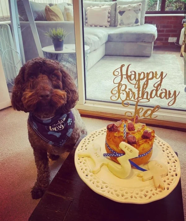 Dog birthday cake personalised sausage surprise - Image 4