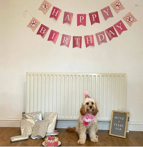 Personalised unicorn Dog Birthday Cake - Image 4