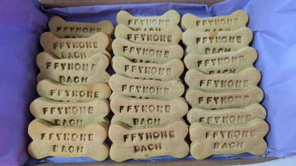 Personalised Dog Bone Biscuit x 20 - Image 2