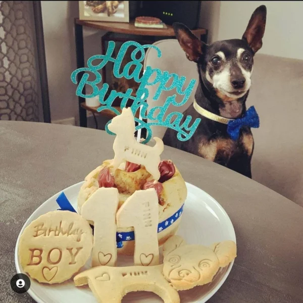 Dog birthday cake personalised sausage surprise