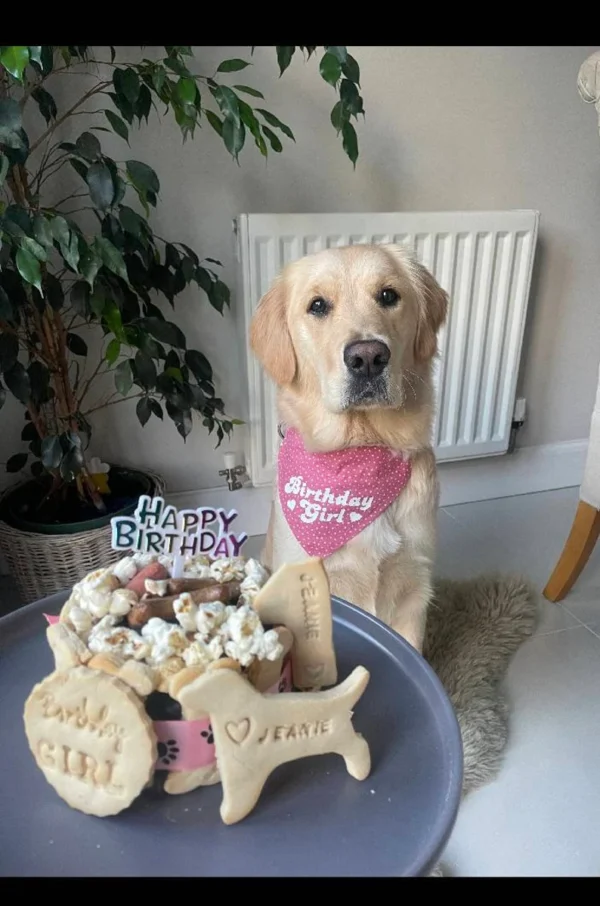 Dog Birthday Cake - Image 6