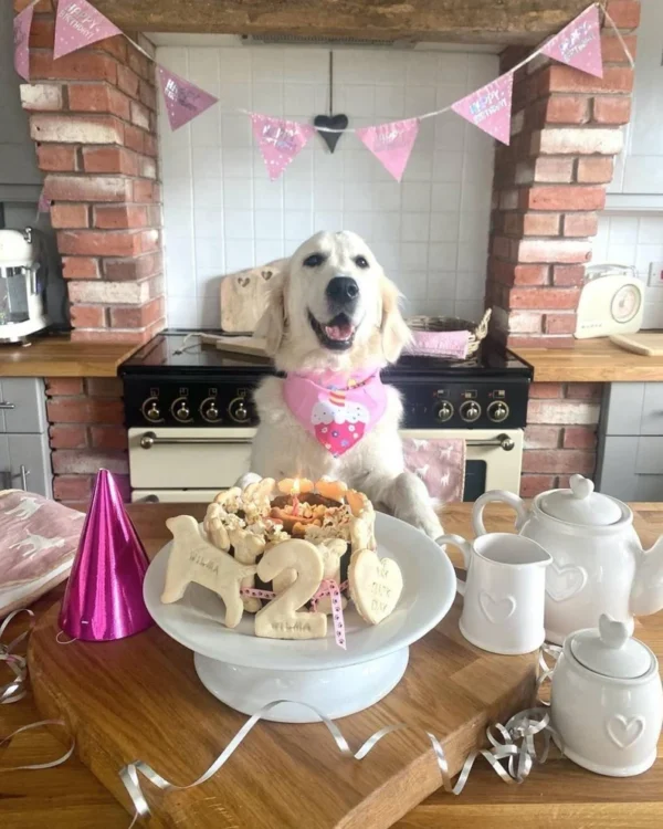 Dog Birthday Cake - Image 5