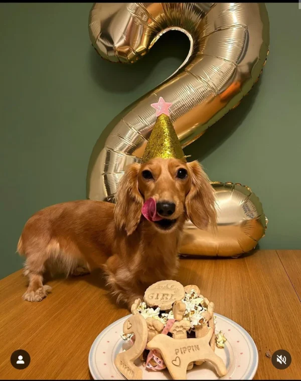 Dog Birthday Cake - Image 3