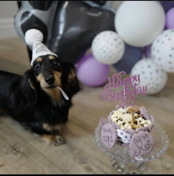 Purple DOG BIRTHDAY CAKE personalised any name & dog breed biscuit - Image 4